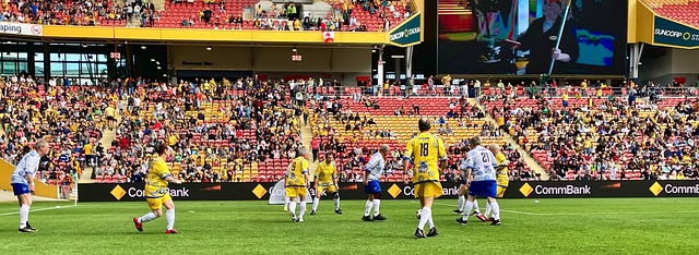 对比早期的 对比早期的