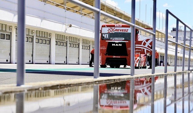 真实的实力 真实的实力