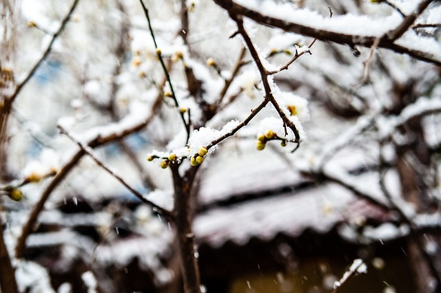 传奇