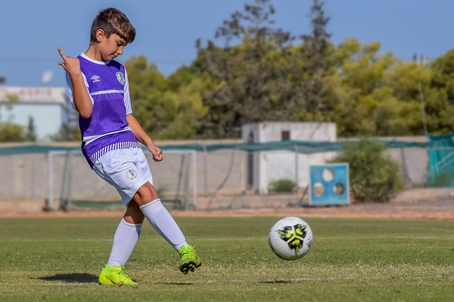 韧劲和多样 韧劲和多样